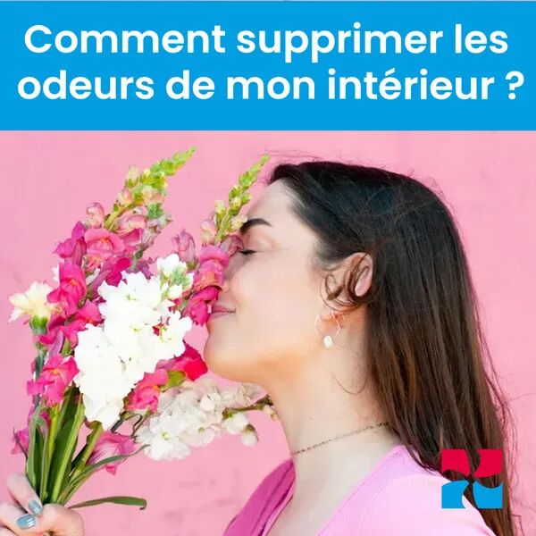 Comment supprimer les odeurs de mon intérieur ? 